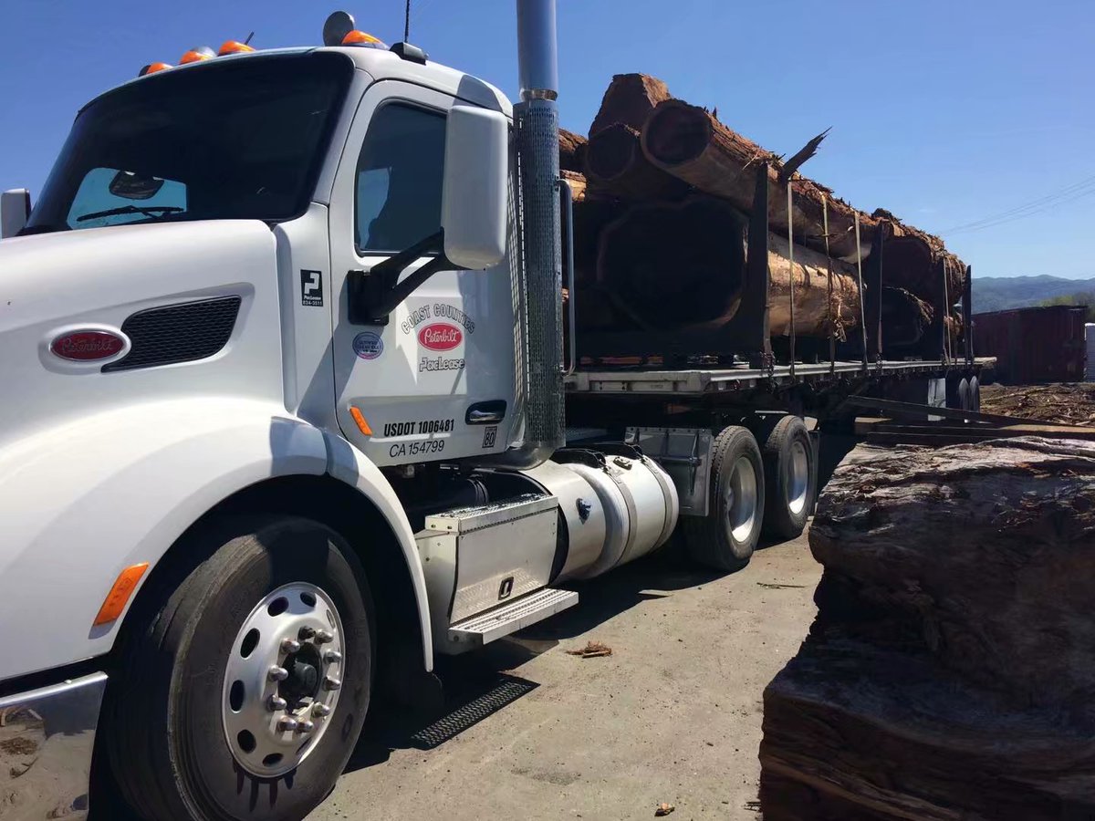 Maria49334347's tweet photo. california redwood

#northcalwoodproducts

#lumber

#slabs

#decking https://t.co/4CIl4SRbAU