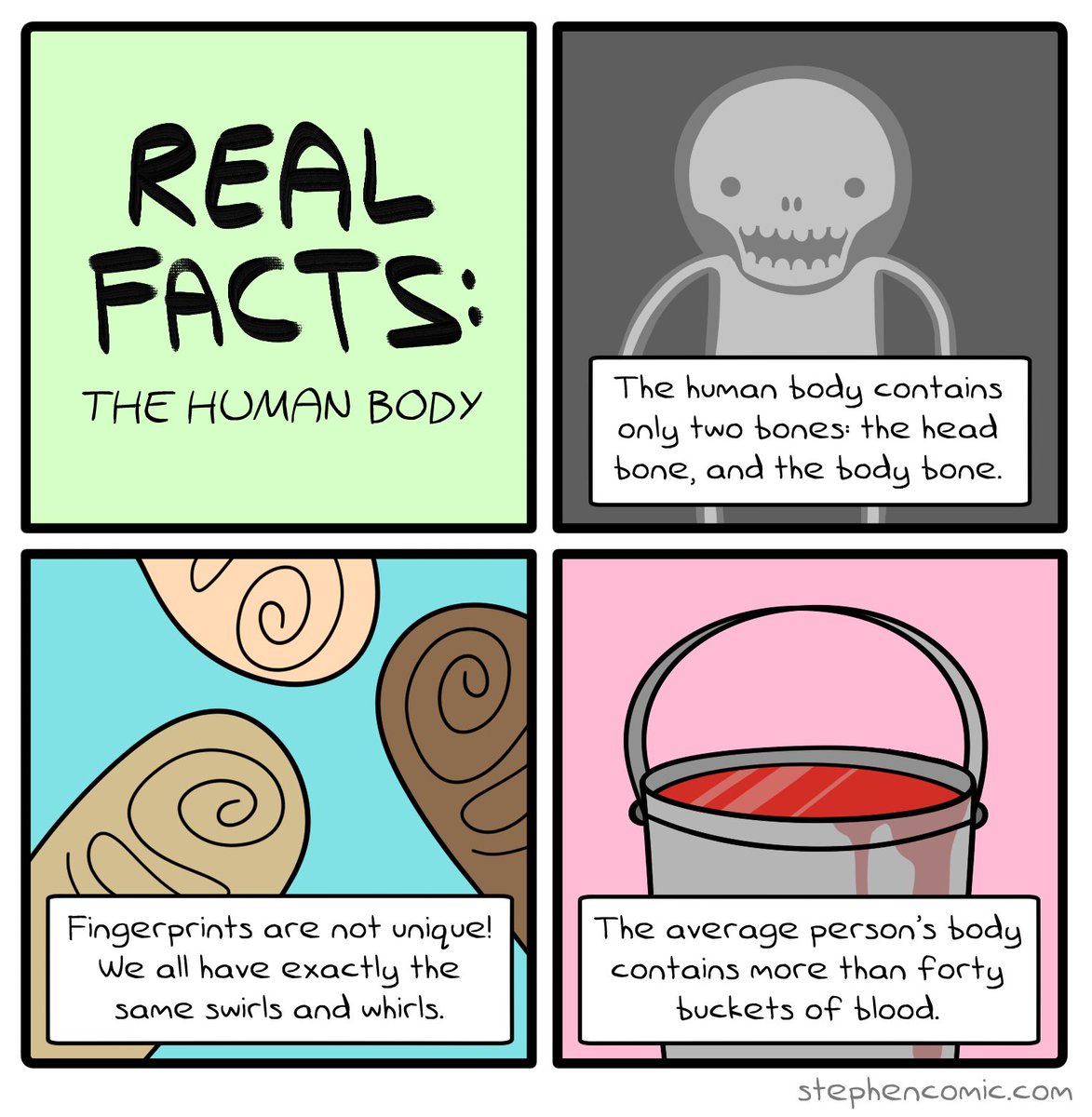 stephenwebcomic's tweet photo. Hello again, friends! This new comic is called “REAL FACTS: the human body”
#comic #webcomic #4panel #human #anatomy #science #real #funny https://t.co/lkL676pE0I