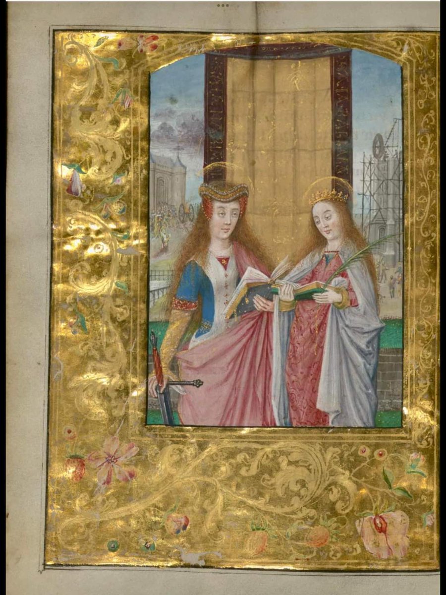 'you wanted some gold on the page as well?' 
Walters art museum, W437, f108