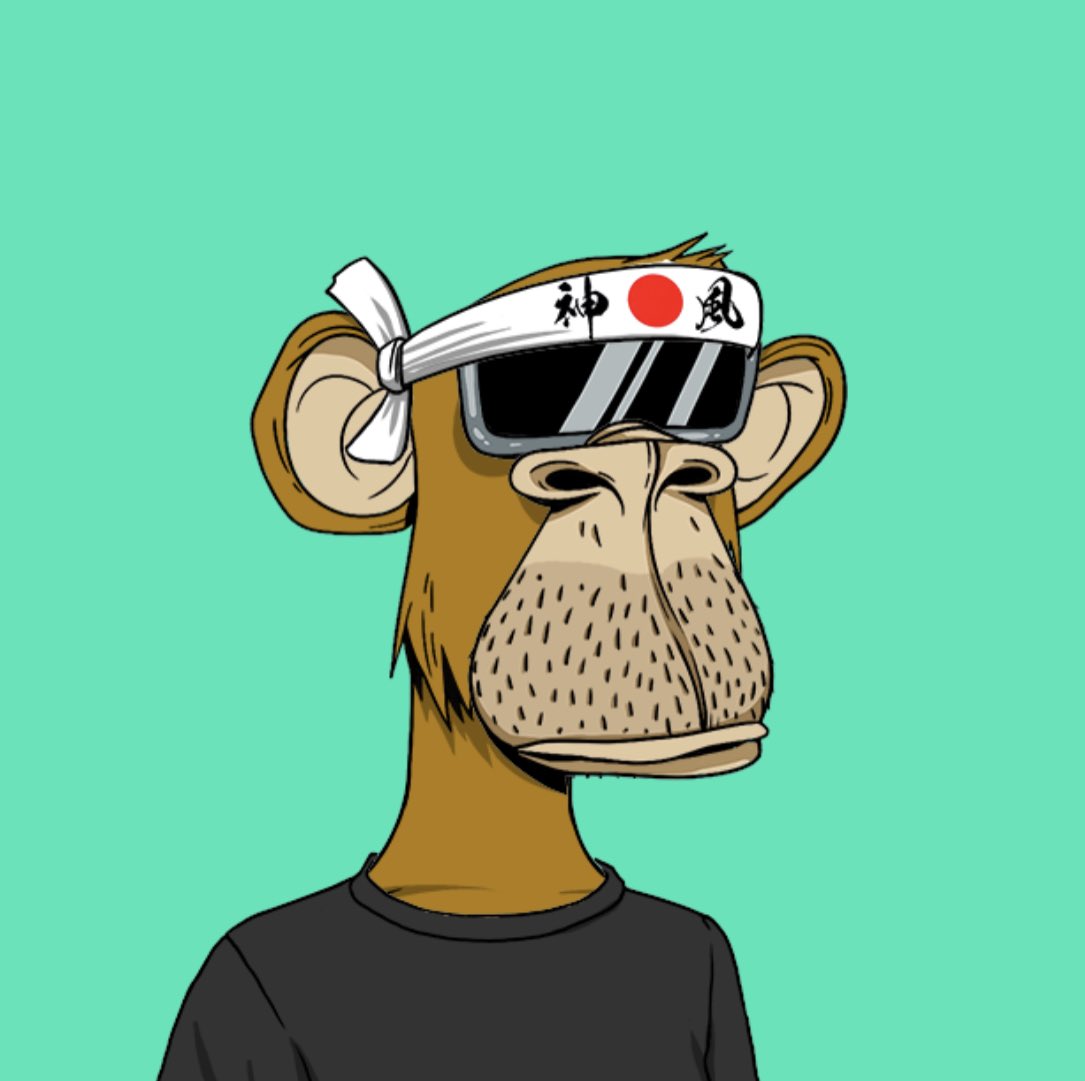 Hydraze 🏴‍☠️ tweet media