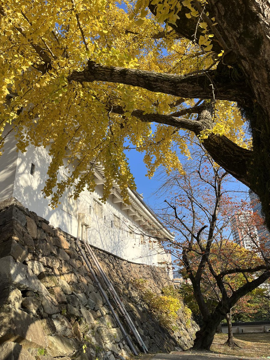 how’s everyone?🤍
i’m travelling at japan right now so here’s some beautiful picture from fukuoka hehe hope you guys have a nice day ꒰ᐢ. .ᐢ꒱₊˚⊹
