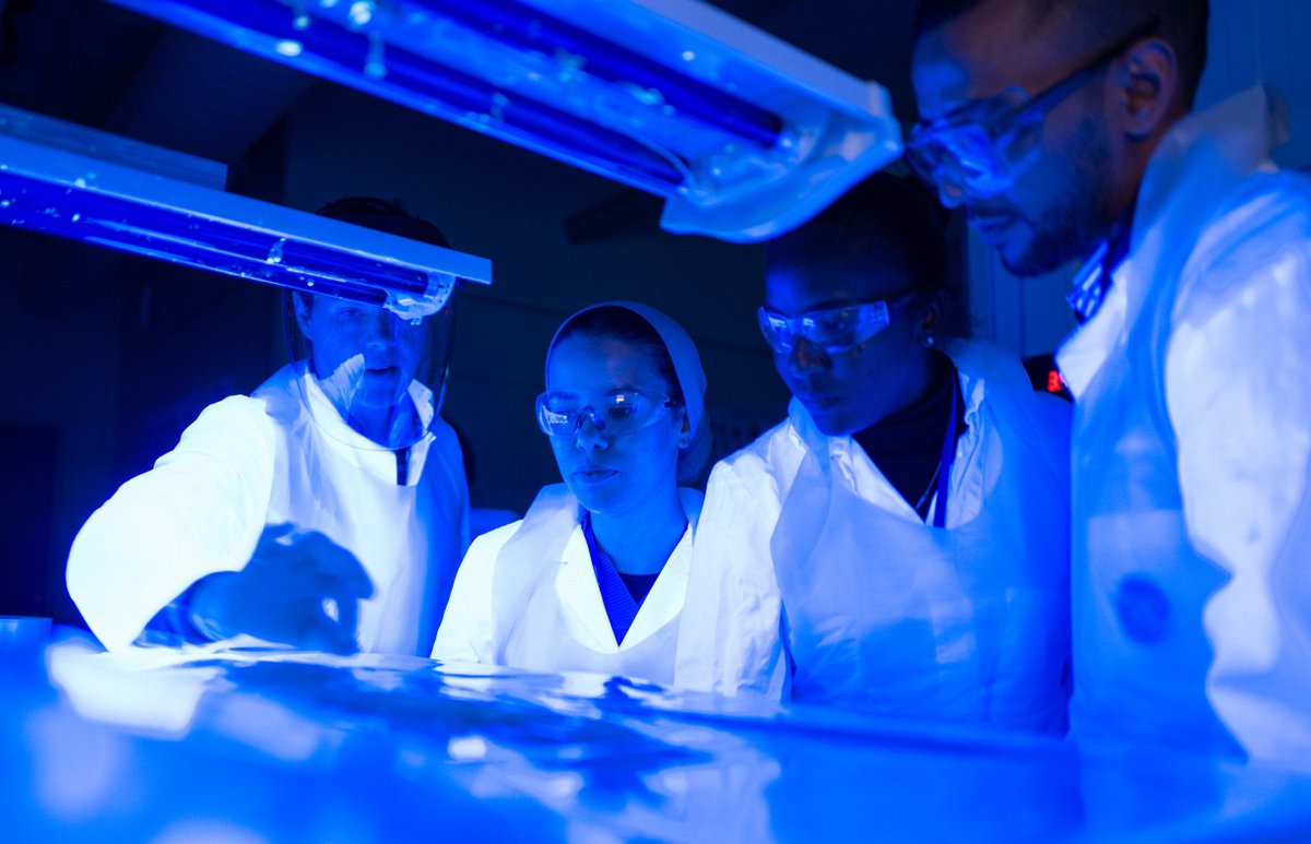 🪱Thank you for joining us in Bergen for our course in fish parasites, Mohamed, Ghoufrane, Theophillus, Salome Daniel and Danilla from our African partner countries in the Nansen program.

Let's talk more parasites in the future 🔬
#EAFnansen @fao <a href="/noradno/">Norad</a> #anisakis #worms