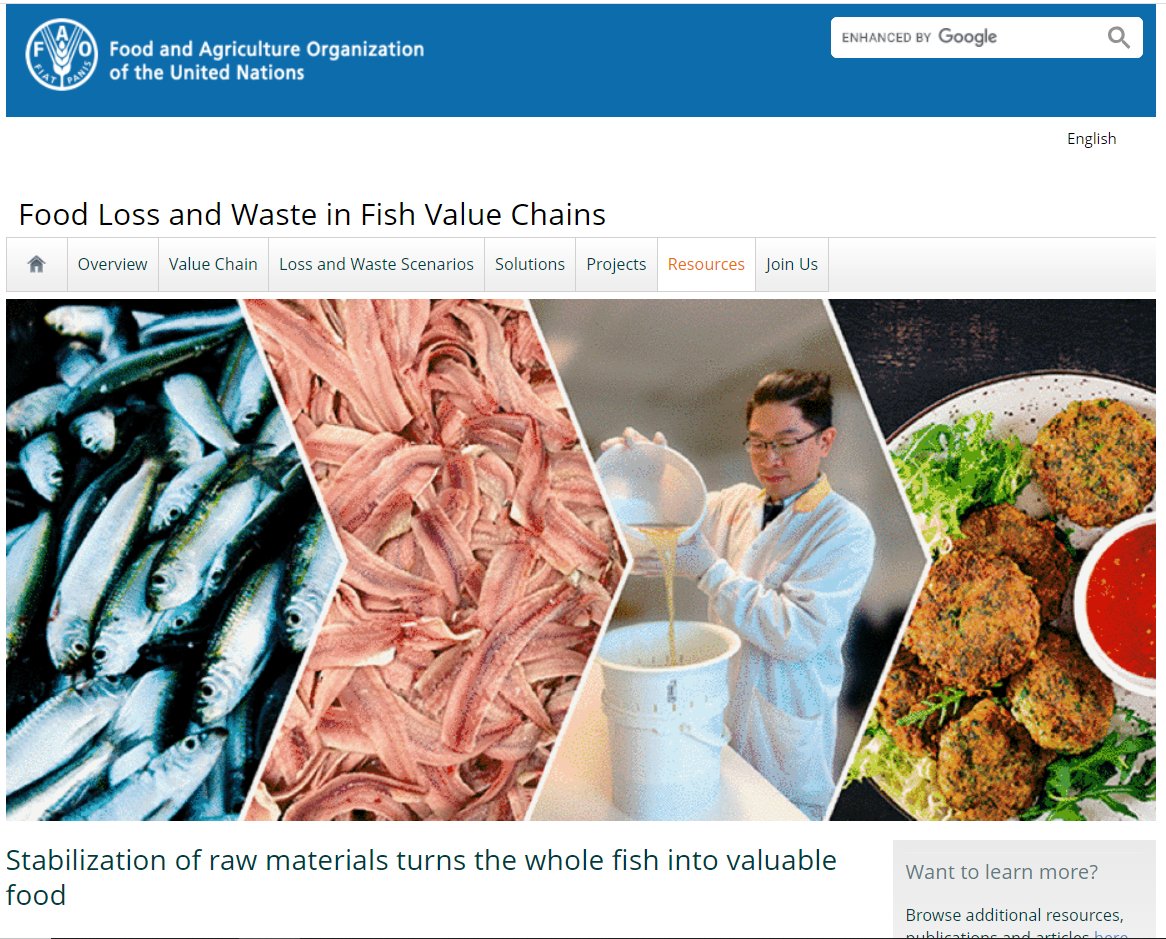 We are proud to announce that the <a href="/FAO/">Food and Agriculture Organization</a> has published an article highlighting the technology developed in WaSeaBi for the stabilization &amp; utilization of fish side-streams, which is contributing to food loss &amp; waste in fish value chains🐟

Read the article 👉shorturl.at/hrwzQ
