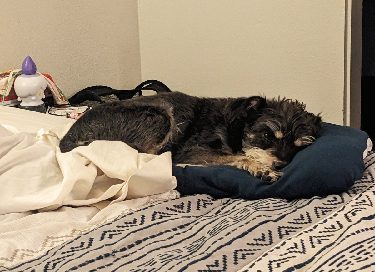 Hey__McFly's tweet photo. Marty is here to cure your Sunday scaries. https://t.co/x0YVY6BDkC
