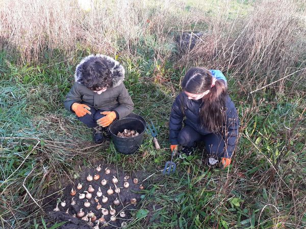 Edinburgh & Lothians Greenspace Trust tweet media
