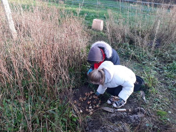 Edinburgh & Lothians Greenspace Trust tweet media