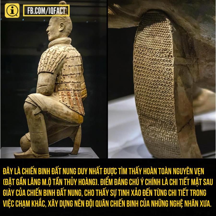 parknguyen99's tweet photo. #iHISTORY
TẦN THỦY HOÀNG TẠO CÔNG ĂN VIỆC LÀM CHO BAO THẾ HỆ, TỪ LÚC CÒN SỐNG ĐẾN KHI CH*T RỒI MÀ CÁC THẾ HỆ SAU VẪN PHẢI ĐI KHAI QUẬT RỒI KHÁM PHÁ MÃI KHÔNG XONG :)
------------
Đội quân đất nung hay Tượng binh mã Tần Thủy Hoàng là một quần thể tượng người, ngựa làm bằng đất nung, đặt gần Lăng m.ộ Tần Thủy Hoàng. Di tích lịch sử này được phát hiện ngày 29 tháng 3 năm 1974 gần thành phố Tây An, tỉnh Thiểm Tây, tây bắc Trung Quốc.
Đội quân đất nung được ch.ôn .cất theo Hoàng đế Tần Thủy Hoàng của nhà Tần trong thời gian 210-209 trước Công nguyên. Có khoảng 8.099 pho tượng chiến binh đã được khai quật, việc khai quật kéo dài và khó khăn vì các tượng binh mã bằng đất nung rất dễ vỡ, chúng cũng bị ph.á ho.ại nhiều lần do bị cư.ớp b.óc, phong hóa hay vi khuẩn ph.á ho.ại.
Những bức tượng binh mã được tạo từ đất sét, nung trong lò và được trang trí bằng lớp sơn để tăng độ bền. Mỗi bức tượng đều có khuôn mặt, kích cỡ cơ thể khác nhau, thậm chí màu sắc của từng bức tượng cũng khác nhau, được nhào nặn, tô vẽ rất sống động trông như người thật. Tuy nhiên sau khi được khai quật, do tiếp xúc với không khí và ánh nắng mặt trời mà màu sắc của tượng dần phai nhạt đi theo thời gian.
Đội quân chiến binh đất nung này được tạo ra để bảo vệ lăng m.ộ Tần Thủy Hoàng, cho đến nay lăng m.ộ này vẫn chưa được khai quật và ẩn chứa nhiều bí ẩn chưa có lời giải đáp. Có giả thuyết đưa ra rằng để giữ bí mật thông tin về lối vào mộ và của cải thì triều đình nhà Tần đã di.ệt tr.ừ lực lượng tham gia xây dựng khu lăng m.ộ bằng cách c.h.ô.n s.ố.n.g.
(Cre: History Cool Kids, Wiki
Shared by: Chim Chích Bông/Gr Maybe You Missed This F***king News)
#iFact