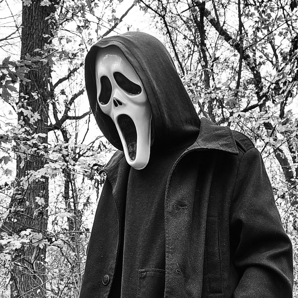 Scream