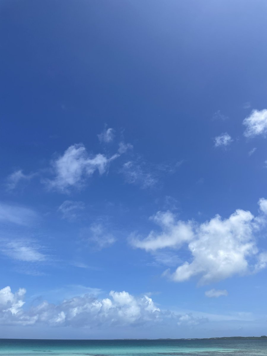 8nUdo's tweet photo. 12月5日(火曜日)の17時より従来の[変則営業]での営業再開となります。

火曜日、水曜日、金曜日
(17時~20時30分)

土曜日、日曜日
(11時30分~15時)

定休日は変わりありません。

[お持ち帰り]も継続致します。

入院等をしていた期間もあり、休業が長引いてしまいました。↓ https://t.co/6RppwAvETA