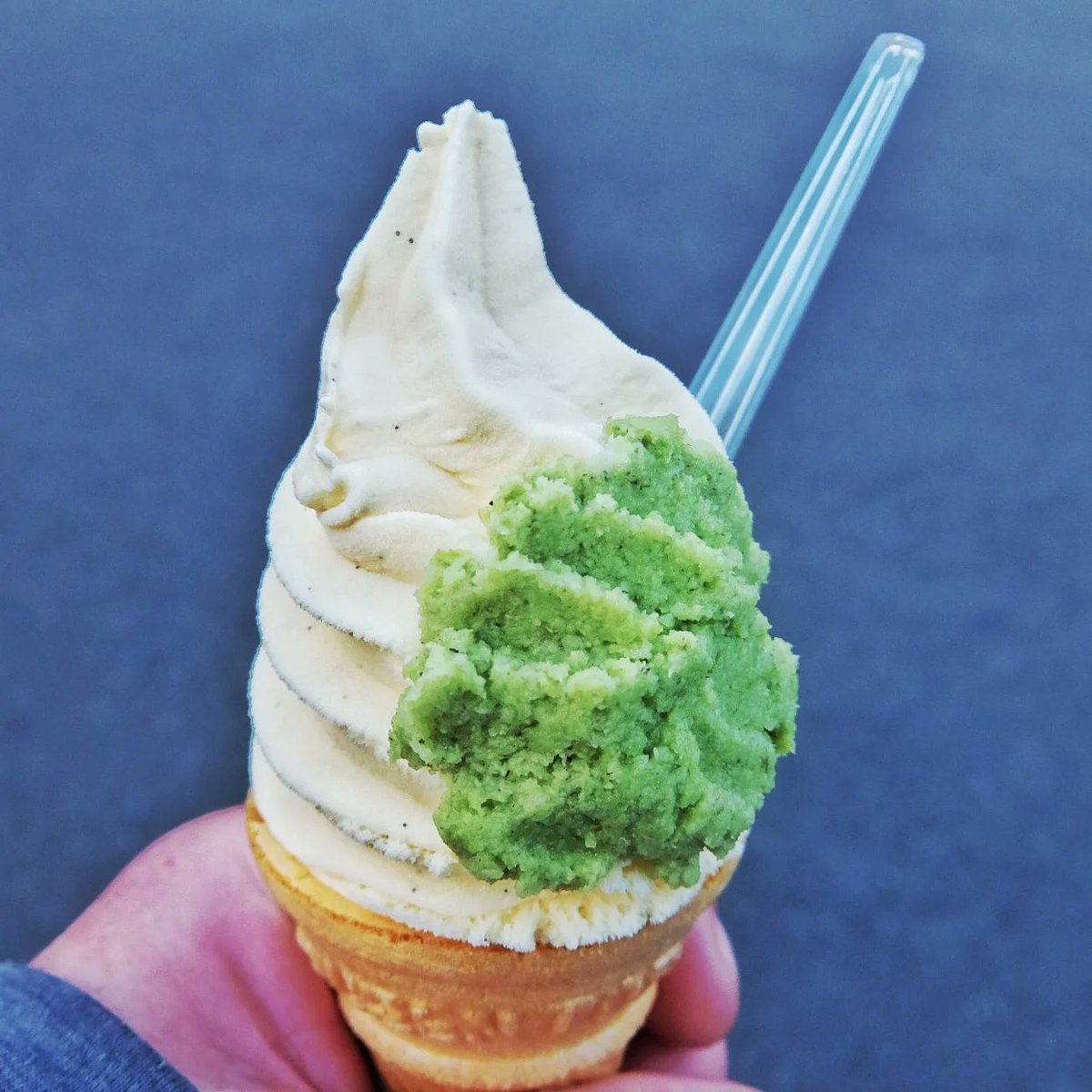 A wonderful buzz after hiking #Izu trail today and passing fields of #WASABI - ice cream with loads of the freshly grated stuff! #Japan @visitjapan_uk #bgtw @travwriters #travel #Travelgram #traveling #Travelphotography #travelling #travelblogger #traveler #traveller