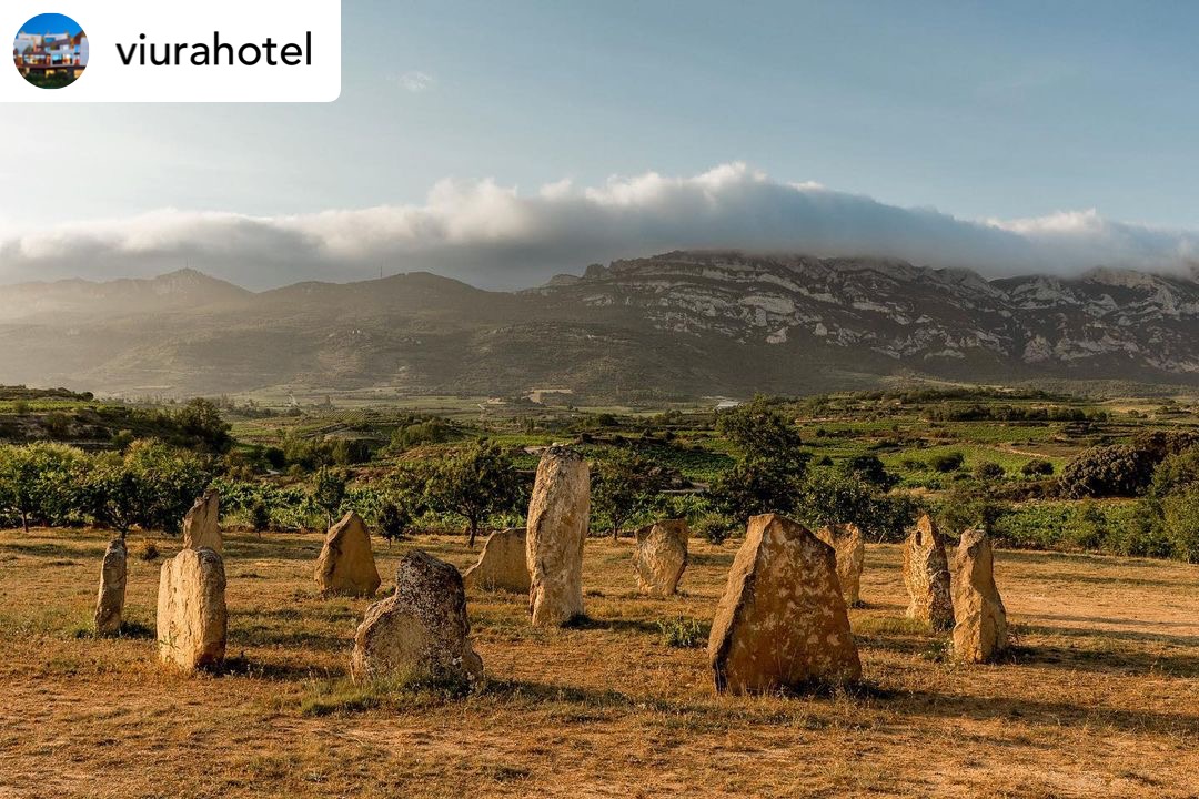 ABRA_Vino's tweet photo. ¿Sabías que en la Comarca de Laguardia-Rioja Alavesa hay un cementerio ateo? concretamente en Villabuena. Sus megalitos y el paisaje hacen de él un lugar que merece la pena visitar.

#FONDOSFEADER
#laguardiariojaalavesa #riojaalavesa #araba #euskadi #alavawines https://t.co/vujap8Q7sf