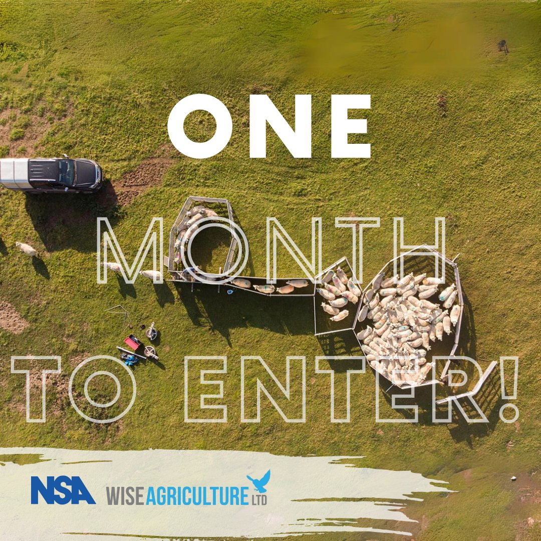 🚨One month remaining🚨 Make sure you enter the NSA prize draw in conjunction with @wiseagriculture to WIN a 3.0m Porta Yards system 🐑🎉 ❌Entries close 31st December Simply fill in your details here⤵️ nationalsheep.org.uk/draw/nsa-and-w… #WIN #Giveaway #Agriculture #Sheep #shepherd