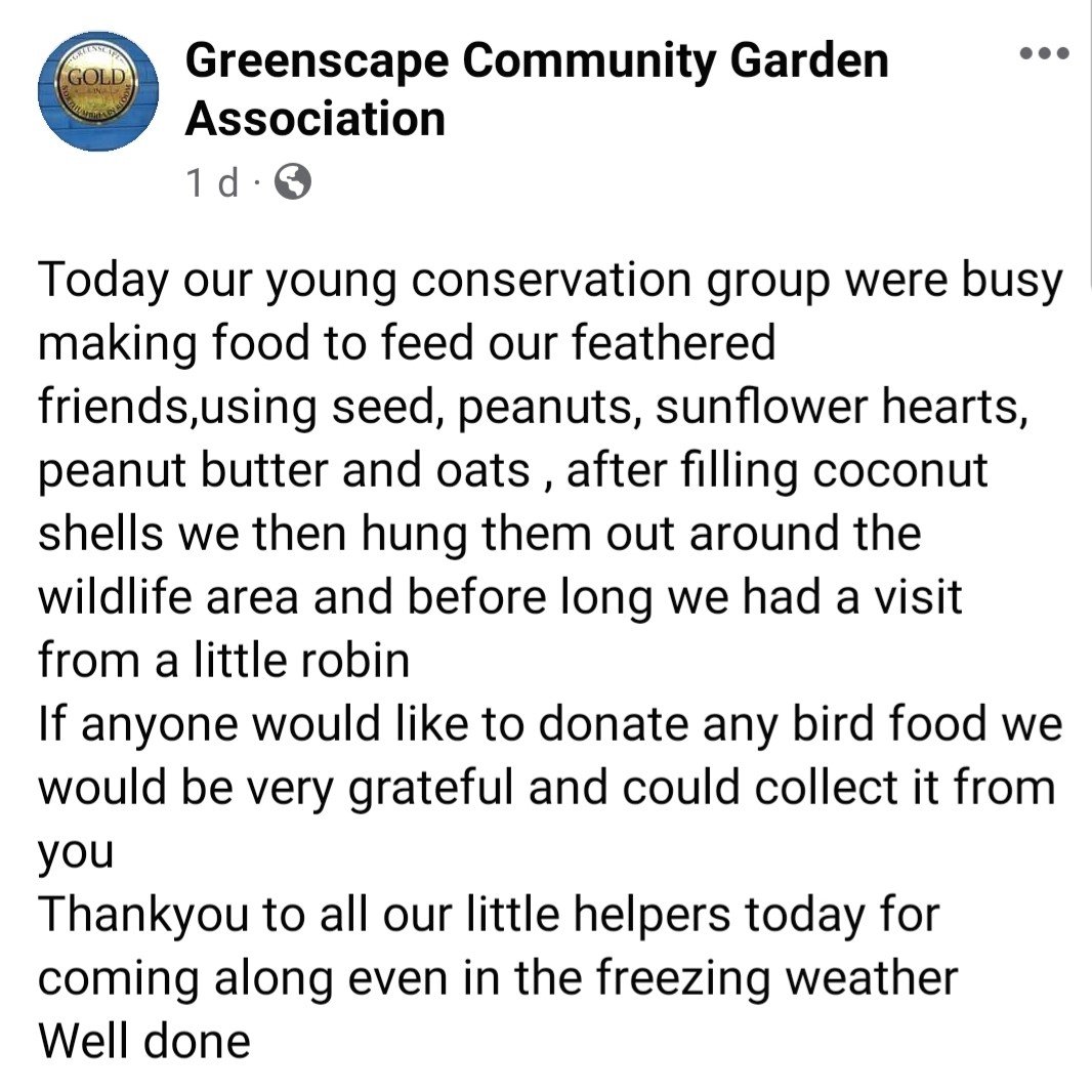 SMagdalens's tweet photo. The cold weather didn't stop these children getting out into the community to spread a little Christmas kindness to the local wildlife. What a lovely idea. https://t.co/wlPkkHAv35