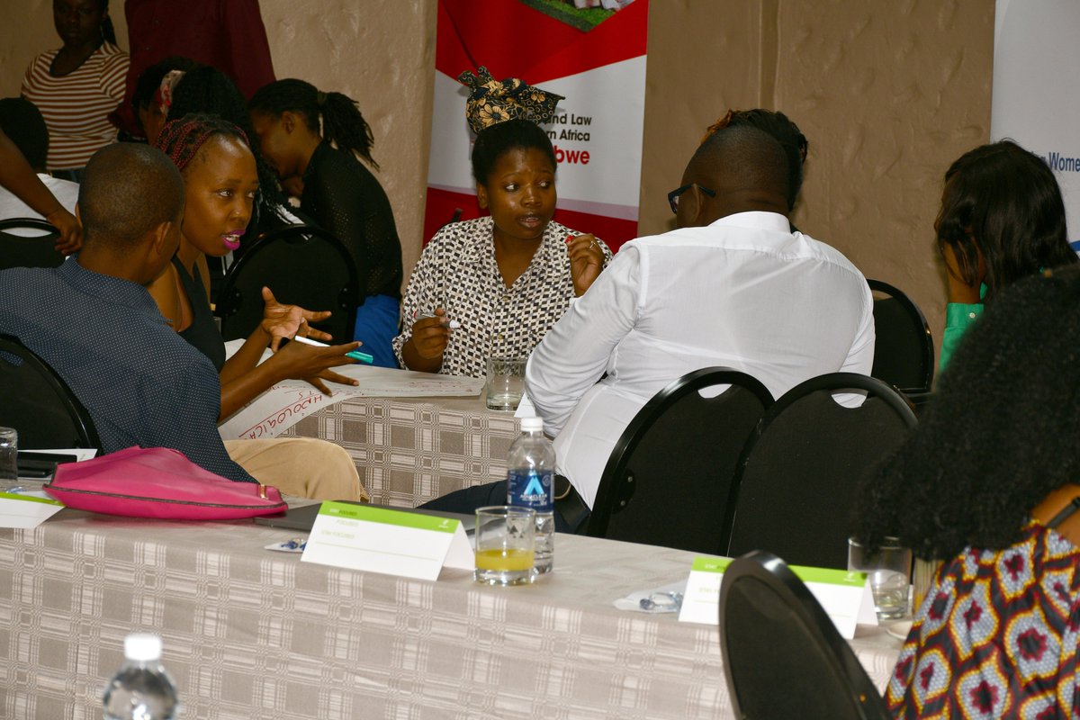 Women and Law in Southern Africa - Zimbabwe tweet media