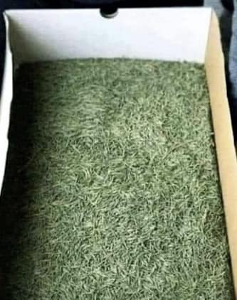 IKEA Xmas tree requires assembly 25 quid must collect. #Xmas2023