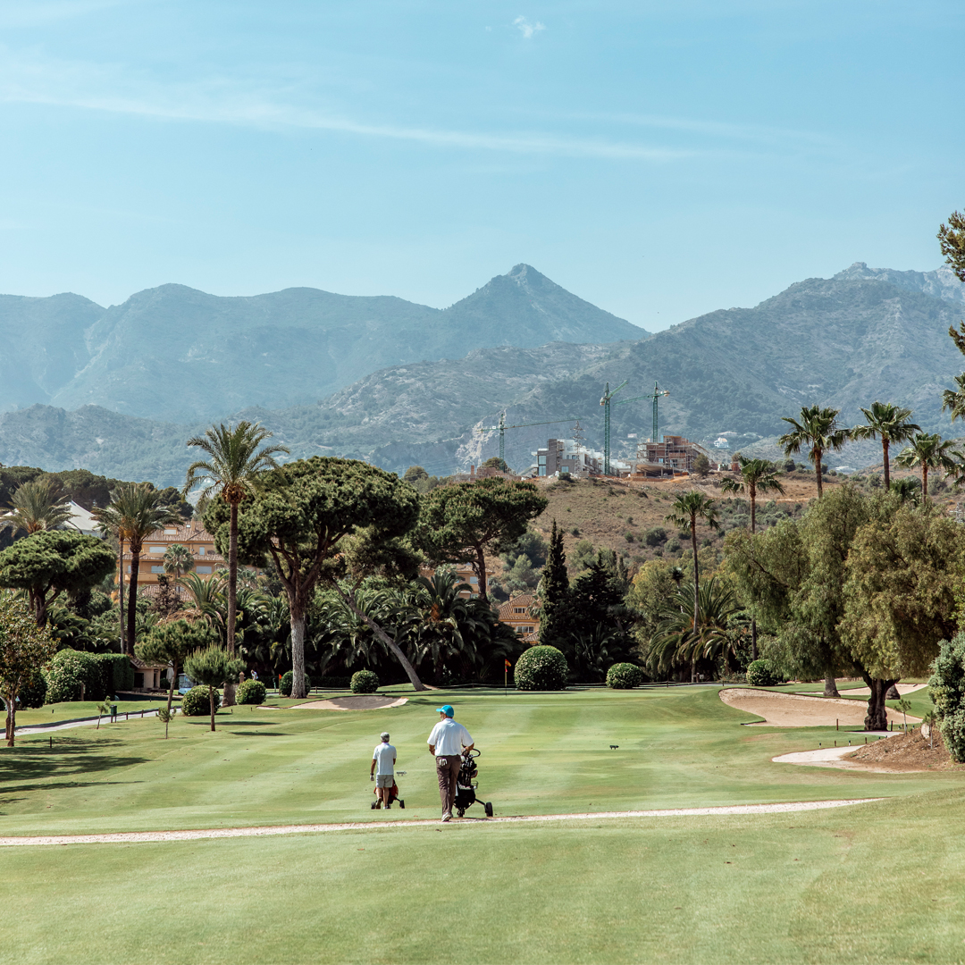 Golf_RioReal's tweet photo. Estamos a sólo un hoyo de que llegue la #Navidad y, como cada año, el mejor #regalo para un golfista es poder jugar durante tooodo el año ⛳🎁. 

Descubre nuestra #TarjetaAmigo y acierta con tu regalo 💳👉 https://t.co/asXvHv5WRB

#rioreal #marbellagolf #golfmarbella #golf https://t.co/tzljJtTb9V