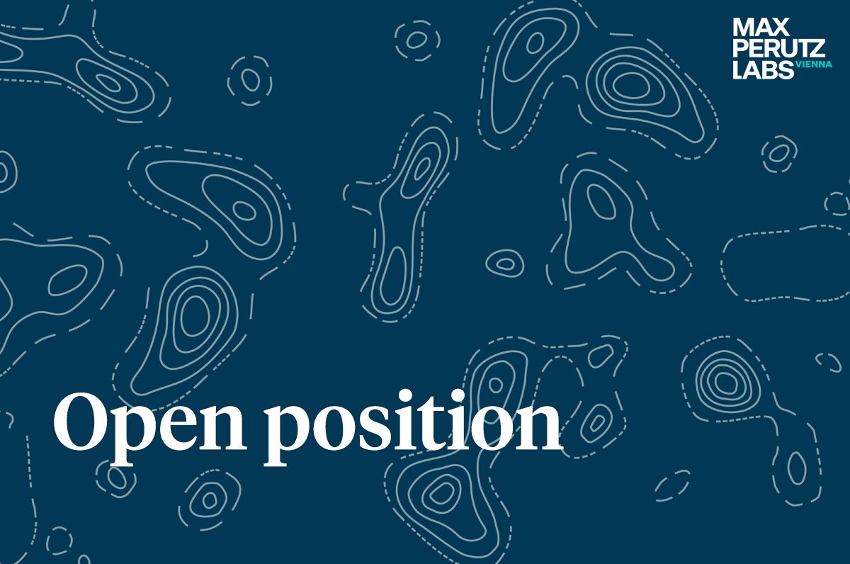 🔎 Cell biology is your passion? 🧬 Perfect! The <a href="/DammermannLab/">Dammermann Lab</a> is looking for a motivated Master's student to work on centrosomes.

➡️ Apply here: tinyurl.com/555wr2jc