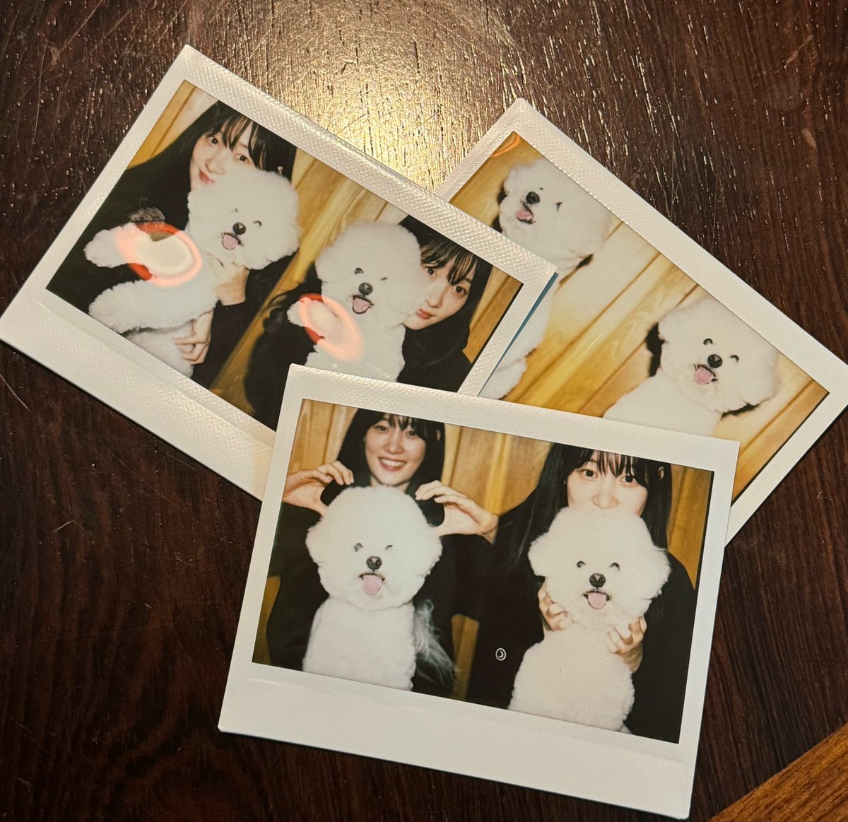 jcyfiles's tweet photo. 231204 🫧🐾 https://t.co/SChGgeEa54