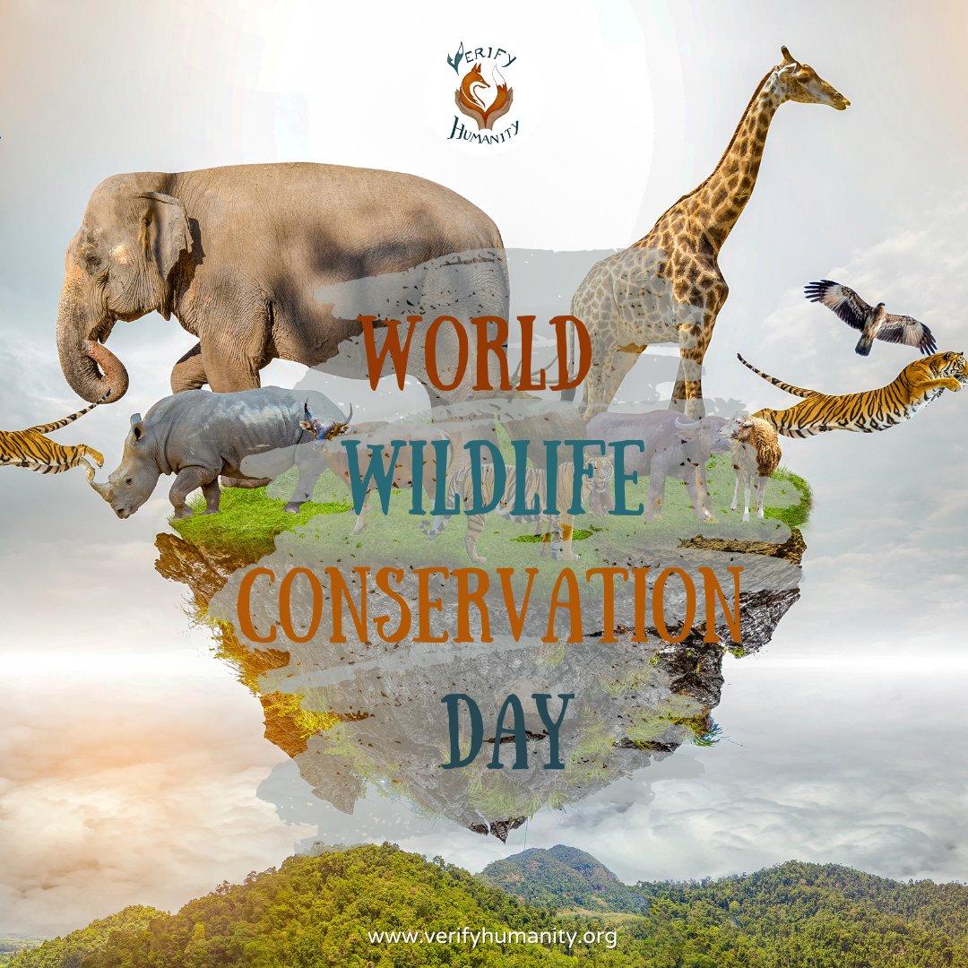 🌍It's World Wildlife Conservation Day🌍
You can read more on our Insta, Facebook  and Linkedin!🦒🐄🦬🐯🦅

 #worldwildlifeconservationday #wildlife  #savethespecies #verifyhumanity #wildlifeonearth #endangeredspecies #BiodiversityCrisis #BiodiversityLoss #veganconservation
