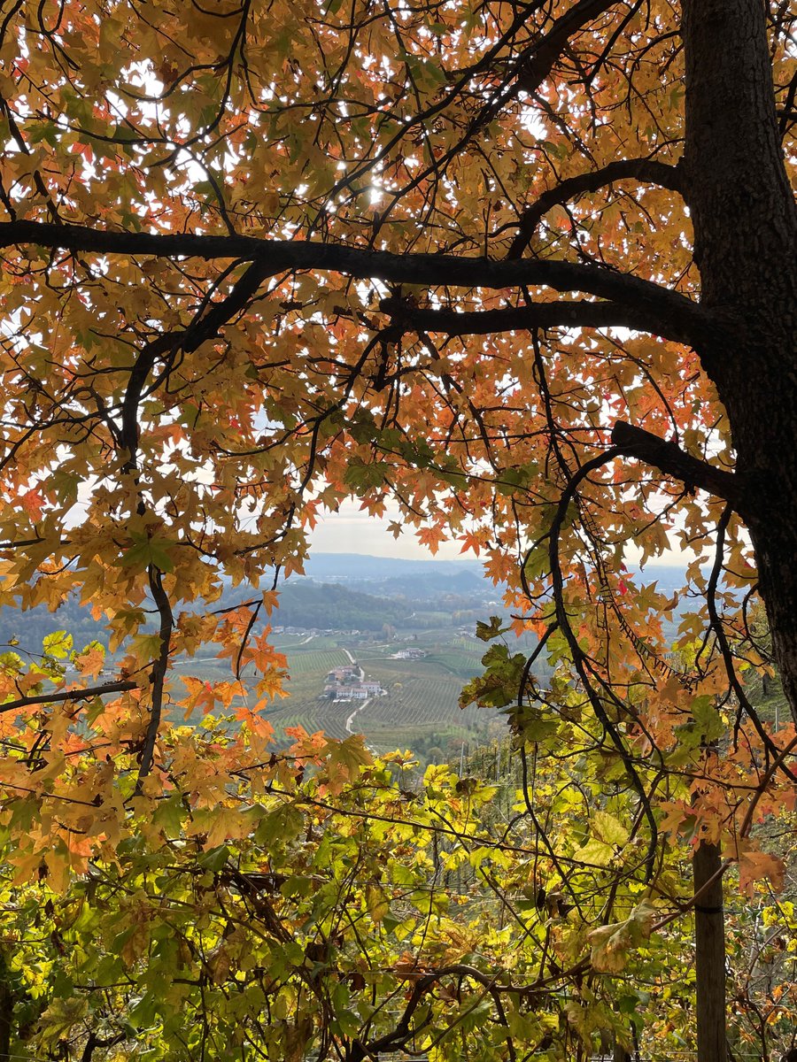 L'autunno è magico, con il suo guscio freddo dal cuore caldo… 🔥❄️  Come #ColVetoraz: quando fuori è freddo, dentro c’è un effervescente calore, quello dei nostri calici 🥂#valdobbiadene #docg