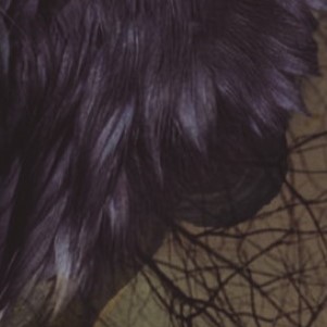 <a href="/silviabval/">Sílvia Baraldés Val</a> <a href="/bibliotequescat/">Biblioteques</a> <a href="/bibliotequestgn/">Central de Biblioteques de Tarragona</a> <a href="/ester_escrits/">Ester Enrich Coma</a> <a href="/escoladelletres/">Escola de Lletres</a> <a href="/TGNAjuntament/">Ajuntament de Tarragona</a> <a href="/TGNcultura/">Tarragona Cultura</a> <a href="/TINETxarxa/">TINET</a> <a href="/dolorssaumell/">Dolors Saumell Calaf</a> <a href="/creacultura_cat/">creacultura_cat</a> <a href="/RosauraGerr/">R. G.</a> <a href="/Cossetania/">Cossetània Edicions</a> <a href="/jordiprenafeta/">Jordi Prenafeta</a> Posem per cas que em dic Gerard Ferrer i em disposo a escriure sobre un viatger, que també es diu Gerard (...)'. 'Usos de la màquina del temps', conte premiat de #JesúsPachecoJulià. Llegiu-lo👉tuit.cat/nQ3me #Km0 #BiblioRecomanacions #PremisTinet2022