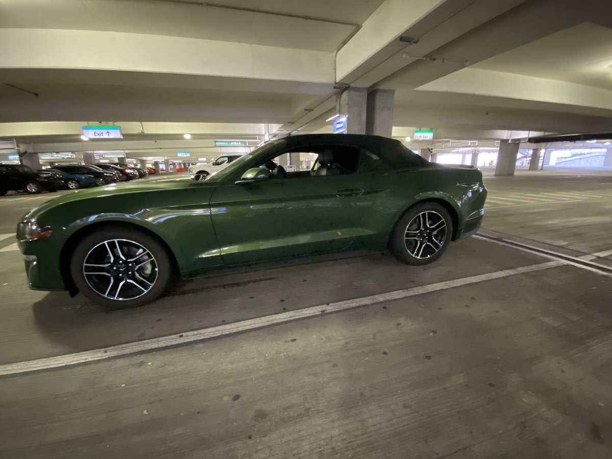 ImHibernating's tweet image. Fun rental car. Even if it only had half an engine. #Mustang  #convertible