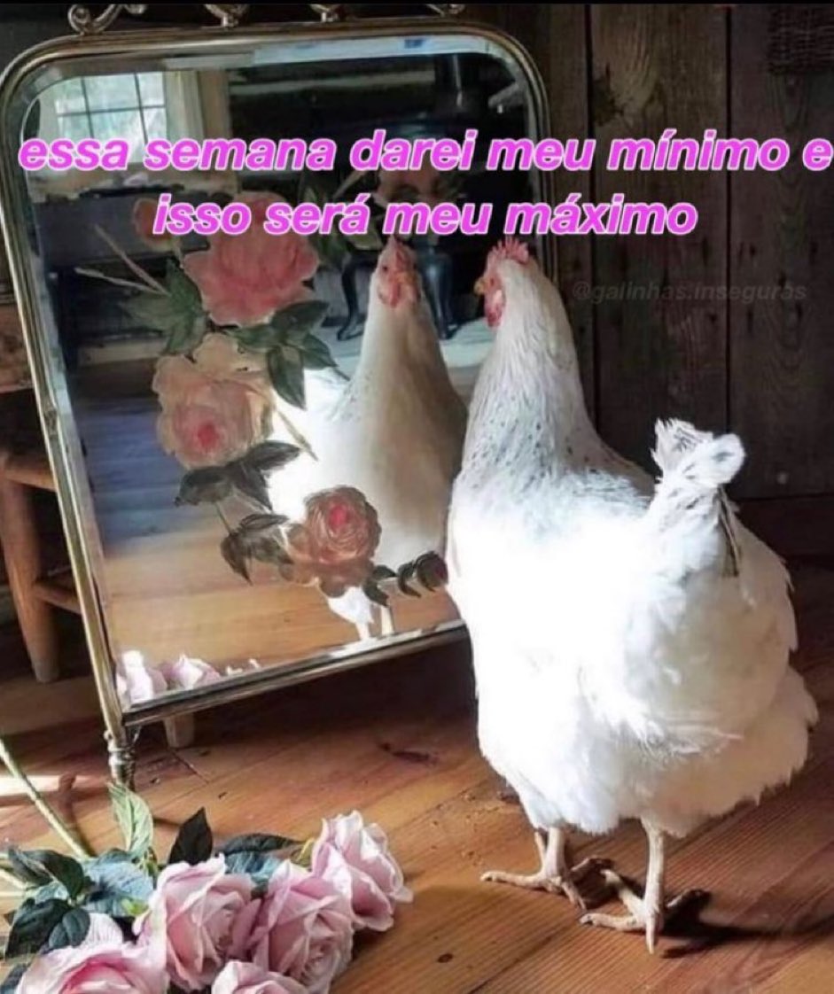 Trouxinha (@euovitinn) on Twitter photo 