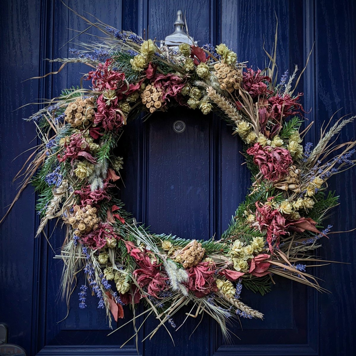This year's wreath, including lavender from a visit to @CastleFarmKent earlier this year and conifer foliage kindly given to me by a friend. Everything else is from the allotment or garden. I'm chuffed with it!