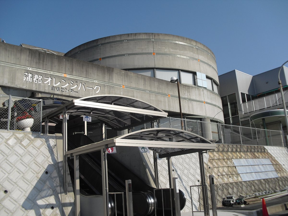 AichiNow_en's tweet image. Pick your own #MandarinOranges at #GamagoriOrangePark until December!🍊 aichi-now.jp/en/spots/detai… #Strawberry picking also available from January with other fruits each season!😋🍓 #Orange #蒲郡オレンジパーク #FruitPicking #AichiNow