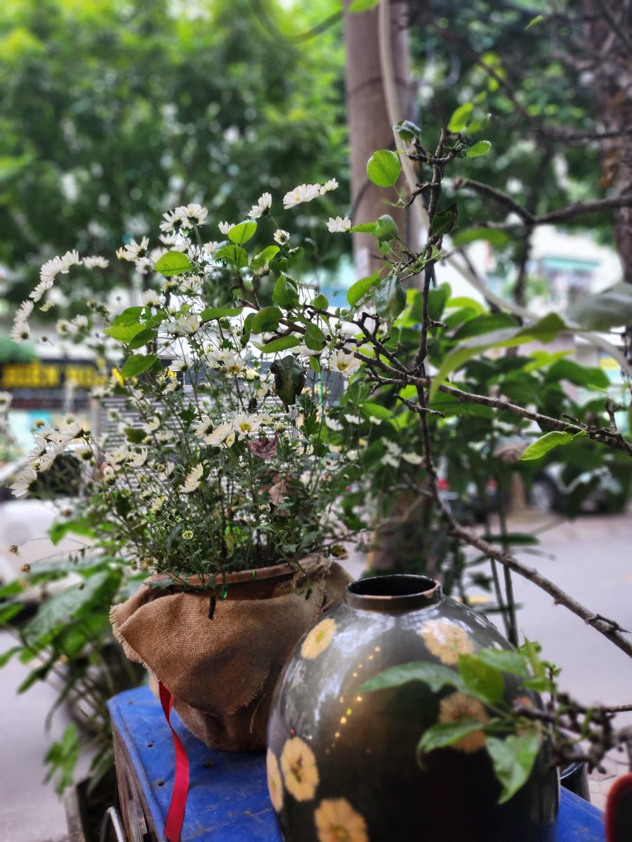 thichsanvuon's tweet photo. Cây nhà lá vườn...
#thichsanvuon https://t.co/qvg4LJlA2O