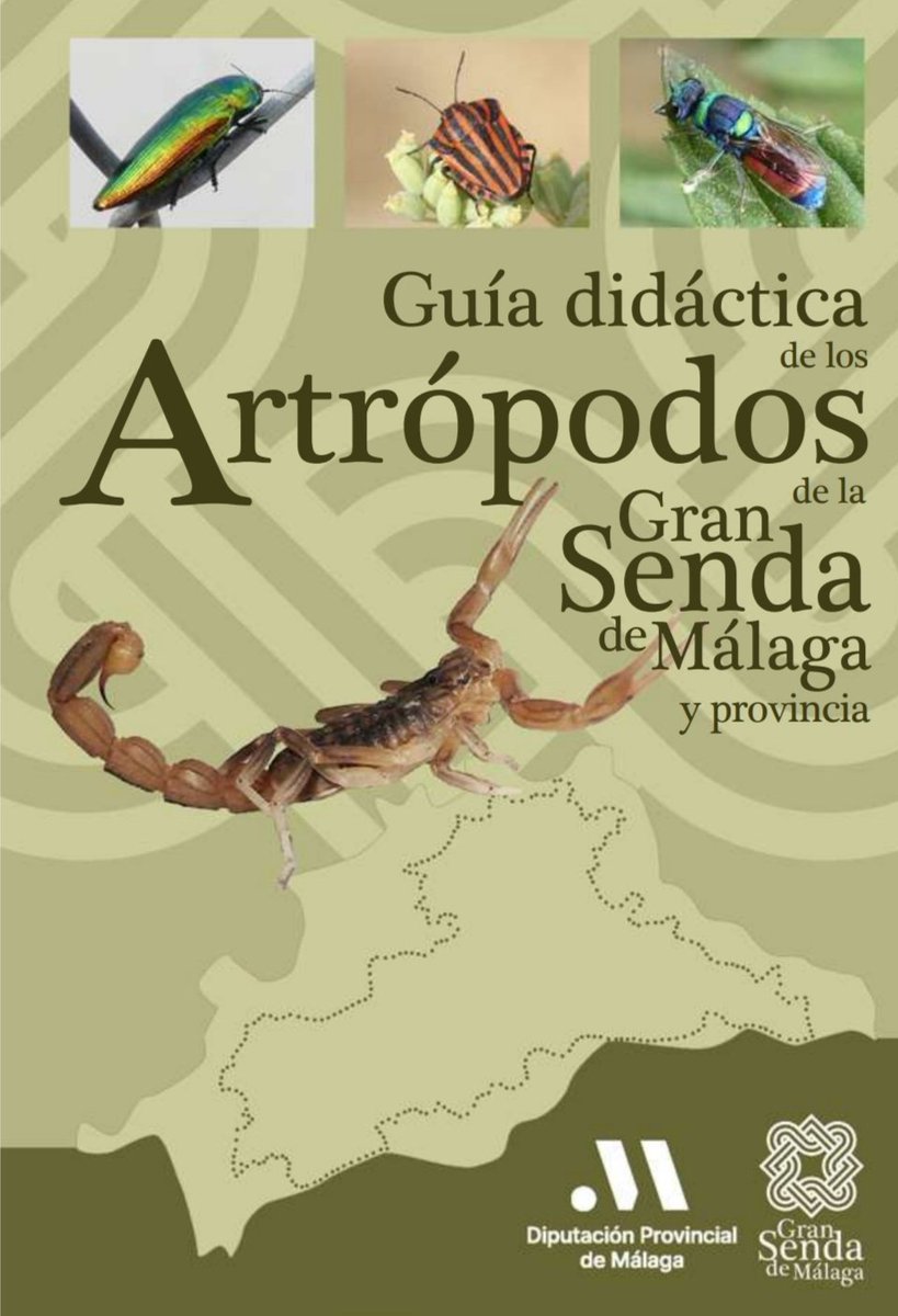 Guía didáctica de los Artrópodos de la Gran Senda de Málaga y provincia, de descarga gratuita 💙

sendalitoral.es/es/publicacion…