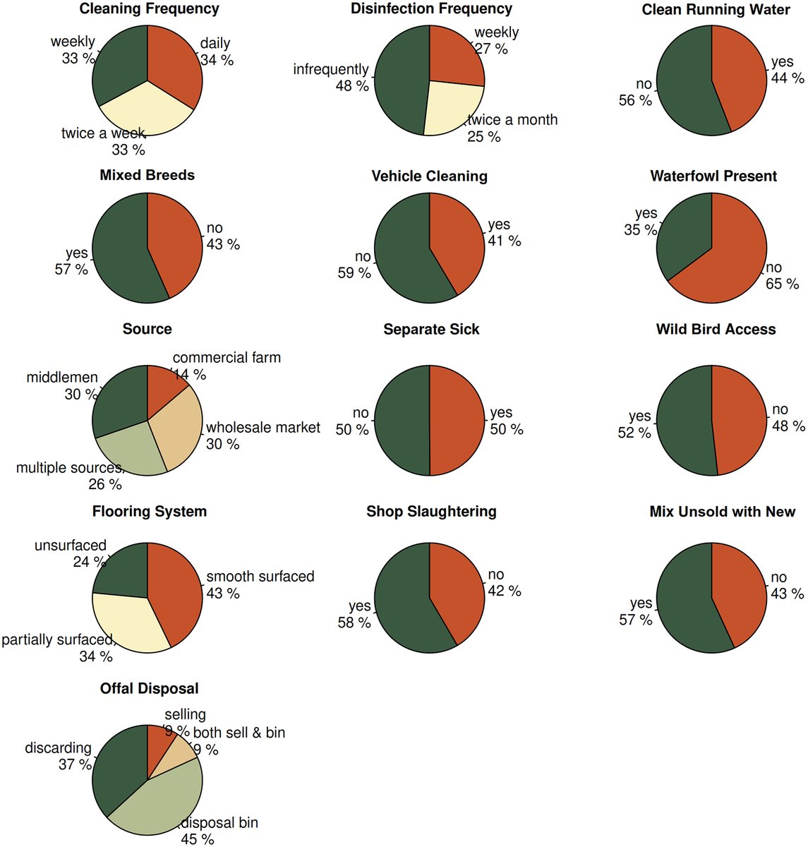 Ariful  Islam tweet media
