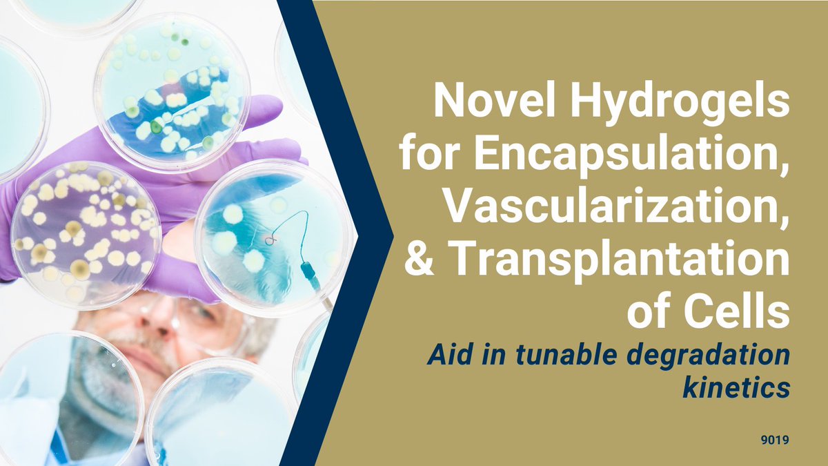 GaTechOTL's tweet photo. #AvailableForLicense: Poly(ethylene glycol) (#PEG) #hydrogels useful for controlled release and delivery of drugs or proteins, #cellencapsulation, &amp; as a delivery vehicle/adhesive for cells in #transplantation settings. 
#drugdelivery #regenerativemedicine
https://t.co/0M59vPYwrP https://t.co/yzfo5DB0LG