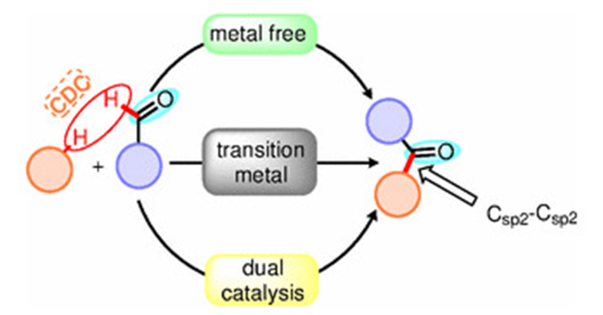 Aldehydes applied as an acyl source for C(sp2)-C(sp2) bond formation via CDC: a #ScienceOfSynthesis review by T. Khandelia (@TKhandelia), S. Ghosh (@I_m_Ghosh), and B. K. Patel @TheBKPLab (IIT Guwahati) (Ed. D. Maiti @maiti_iitb). 👉 brnw.ch/21wEZRt