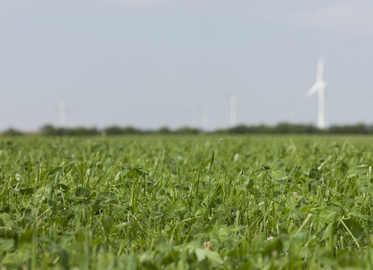 Tip 7: Maak tijd voor de overige winterklussen 🛠️
Naast het optimaliseren van je grasland voor het voorjaar, is het essentieel om aandacht te besteden aan andere winterklussen. #barenbrug #Veehouderij #Tips #Winterklussen

barenbrug.nl/veehouderij/va…