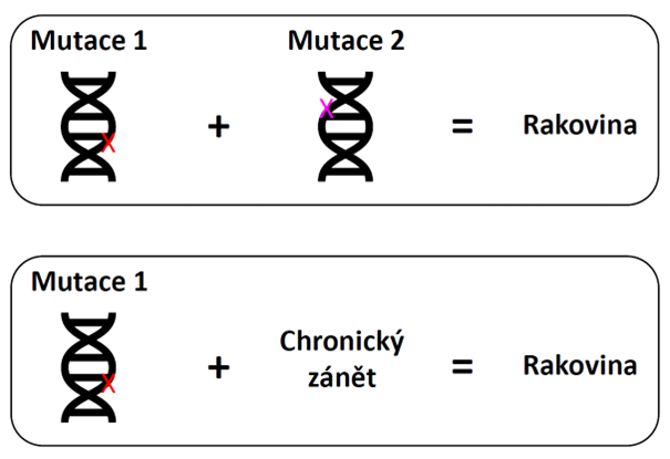 Akademie věd ČR tweet media