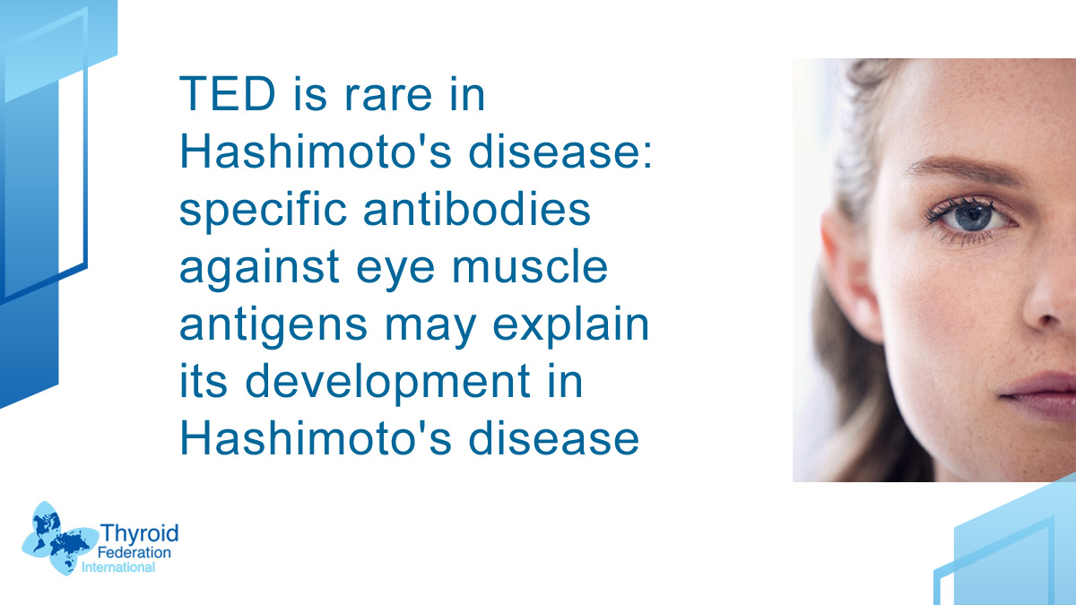ThyroidFed's tweet photo. Thyroid Eye Disease (#TED) is rare in patients with #hashimoto’s disease, and the presence of specific  #antibodies against #eye muscle #antigens may explain the development of TED. It generally occurs in #gravesdisease, but rarely in #euthyroid, #hypothyroid patients. #thyroid https://t.co/05inSQ40U1