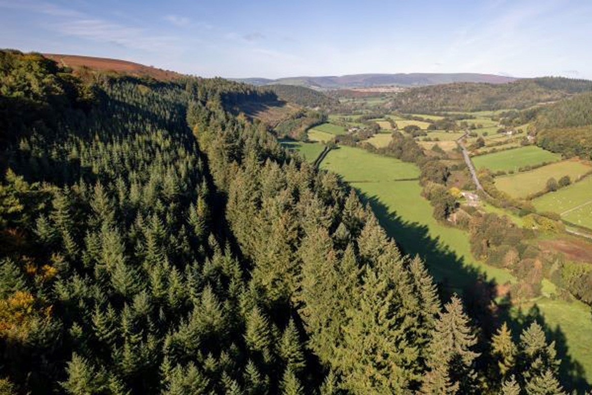 WelshCountry's tweet photo. Hergest Croft Gardens has Third Tallest Tree in Great Britain
https://t.co/RMzpM9eyuj
#hergestcroftgardens #kington #trees #largetrees #woodland #douglasfir #douglasfirs https://t.co/zsXbFUsbWB
