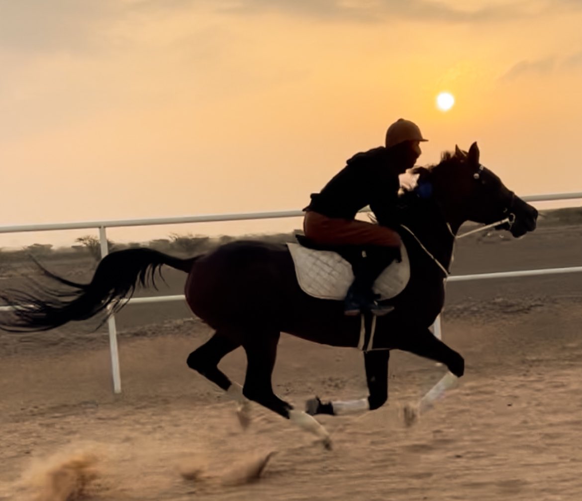alhashmi2256's tweet photo. قُلْ لِلْحَيَاةِ إِنِ إِسْتَطَعَتَ وَدَاعًا 
نِصْفُ الشَجَاعَةِ أَنْ تَمُوتَ شُجَاعًا
.
عِشْ مِثْلَمَا وَلَدَتْكَ أمُّكَ بَاسِلًا 
 إِنَّ الحَرَّائِرَ ﻻَ يَلِدْنَ ضِبَاعَا https://t.co/9Yg86bkgDC