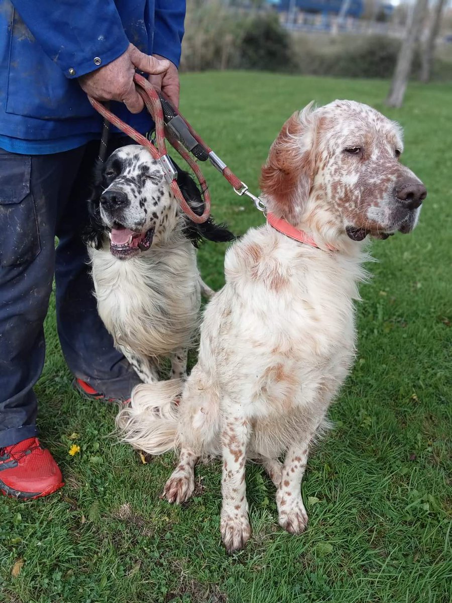 Ascaan difusión-Santurtzi tweet media