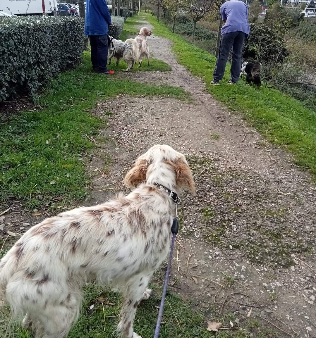 Ascaan difusión-Santurtzi tweet media