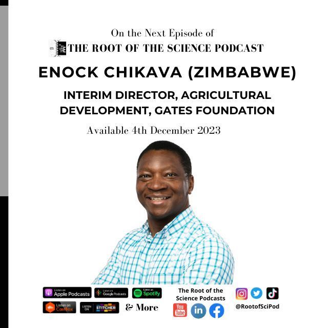 RootofSciMedia's tweet photo. New Episode ft @EnockChikava, Interim Director of #Agriculture Development at @GatesFoundation is now LIVE!🌱 Listen to innovative solutions, sustainability, and resilience in the face of #climatechange they support. Listen: https://t.co/v4kuzgs8t5 

#CGIAR #ClimateResilience https://t.co/62BAbrZDW2