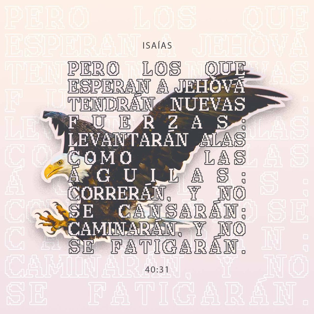 HernanLasanta's tweet photo. Isaías 40:31 RVR1960
pero los que esperan a Jehová tendrán nuevas fuerzas; levantarán alas como las águilas; correrán, y no se cansarán; caminarán, y no se fatigarán.
#Aguilas #isaias #fuerzas #correr #volar #caminar
https://t.co/iv7P3E41Z9
https://t.co/0tVeUbWXXc https://t.co/B5vdfTn5ge
