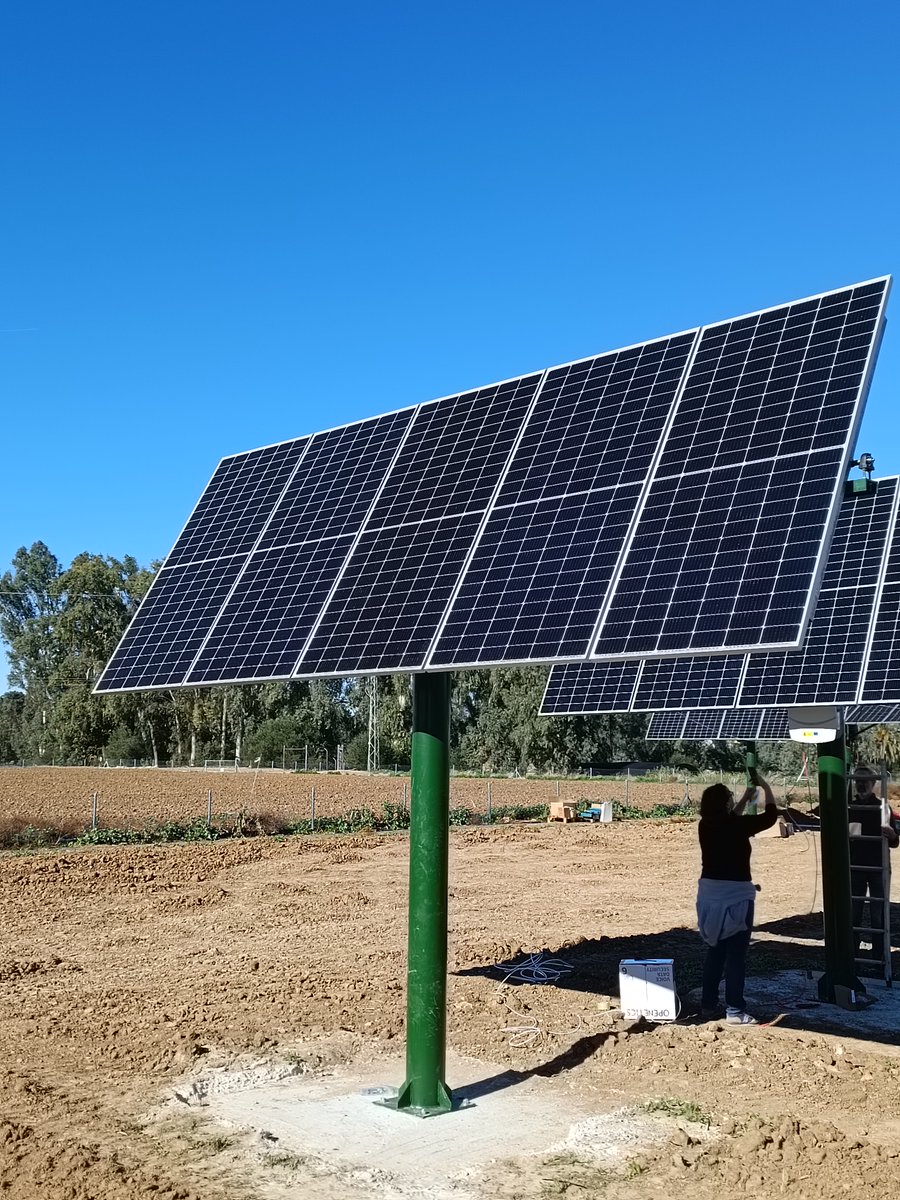 #CienciaUS La <a href="/unisevilla/">Universidad de Sevilla</a> cuenta ya con una planta agrovoltaica donde se estudiará el efecto entre cultivo y paneles fotovoltaicos ♻️

investigacion.us.es/noticias/5716 

vía <a href="/ETSIASevilla/">ETSIA Univ. Sevilla</a>