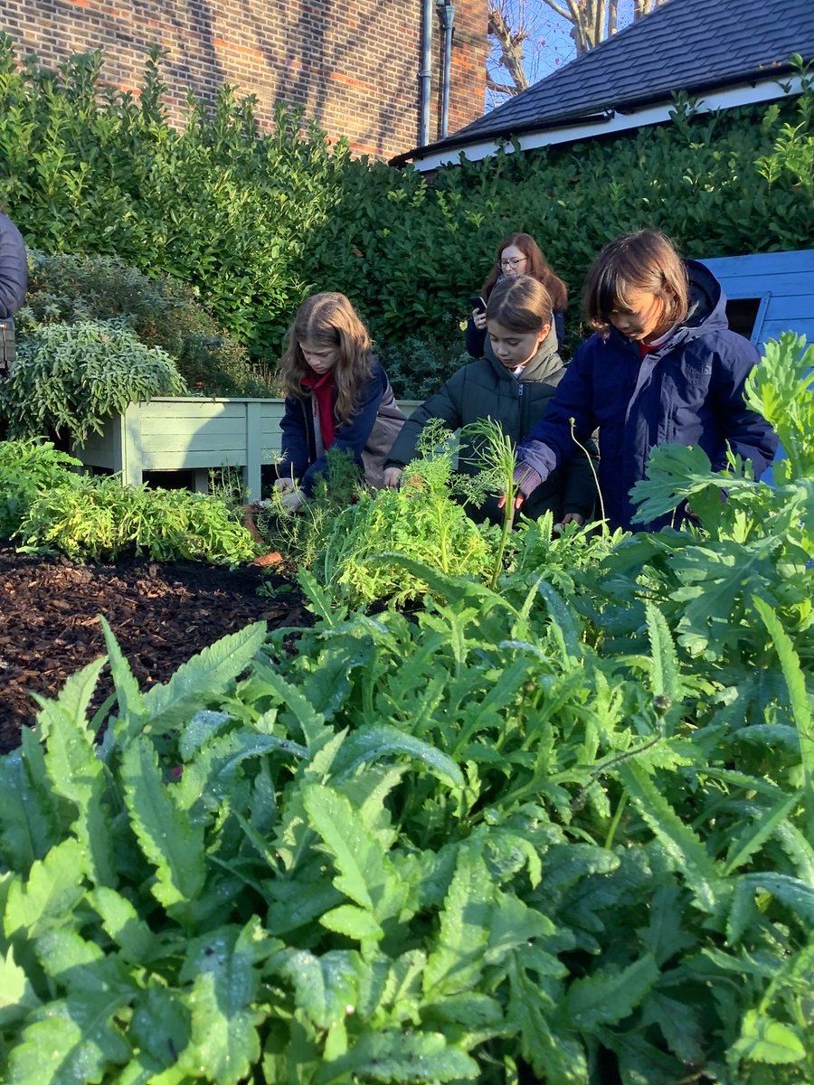 🌍🌿Teaming up with Coppermill Primary School for the third annual #CalltoEarthDay, a global initiative by <a href="/CNN/">CNN</a> with <a href="/annastewartcnn/">Anna Stewart</a>
Hats off to the students for their remarkable work in the school garden, actively combating climate change and spreading awareness 🌎🌷.

With the