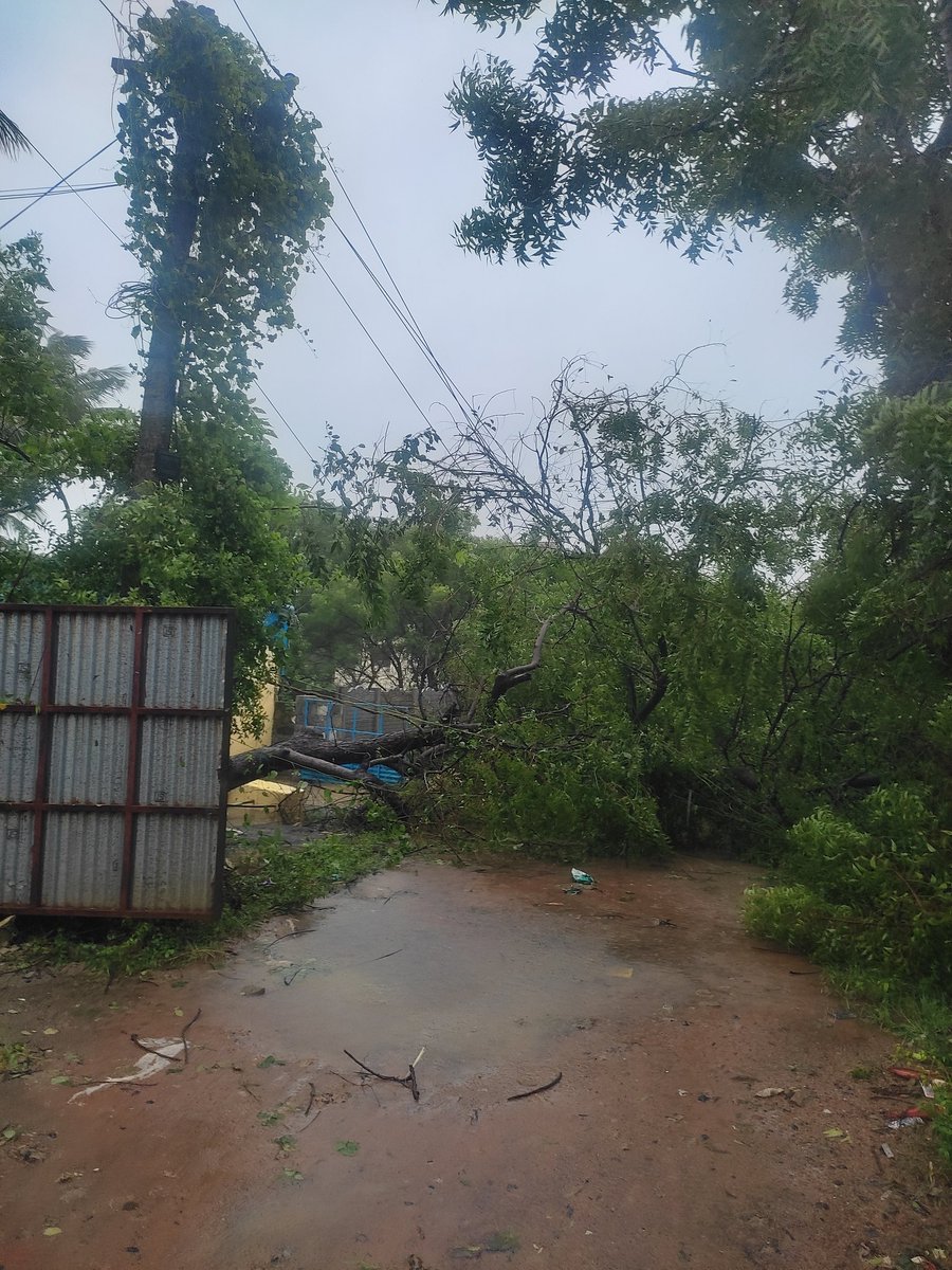 Reporting from 4th golden Street, Masilamaneeswarar nagar , Thirumullaivoyal. 
Tree has fallen on power lines resulting on street block and power flow danger. Pls support to clear and restore power lines
<a href="/TANGEDCO_Offcl/">TANGEDCO Official</a> <a href="/avadi_corpn/">Avadi Corporation</a> <a href="/TiruvallurCollr/">Collector Tiruvallur</a>