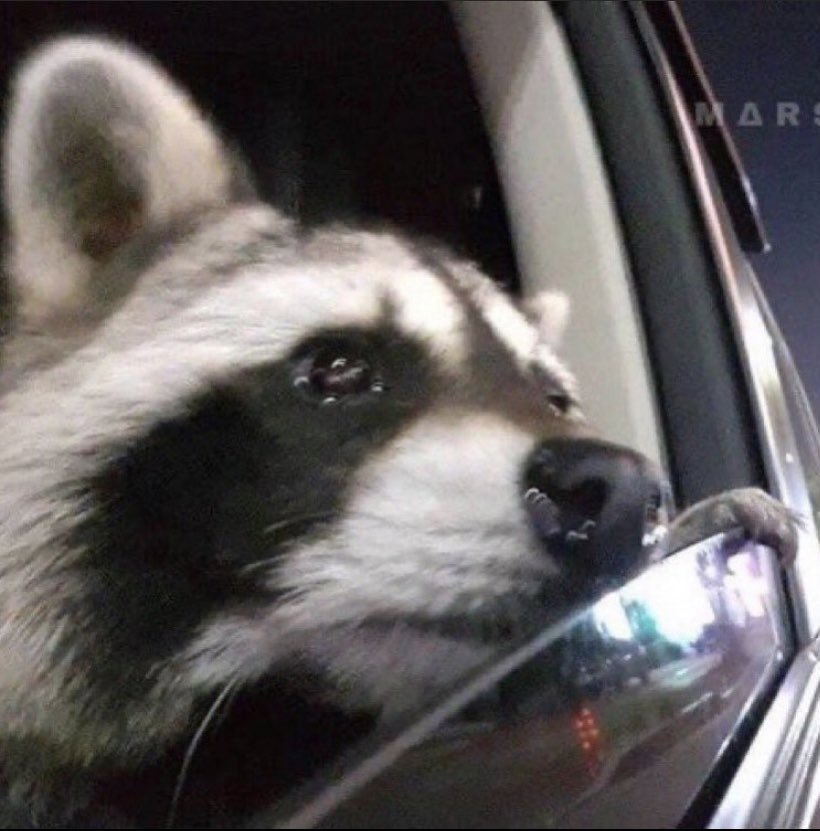 They should have never let my sleepy ass apply for a career in healthcare