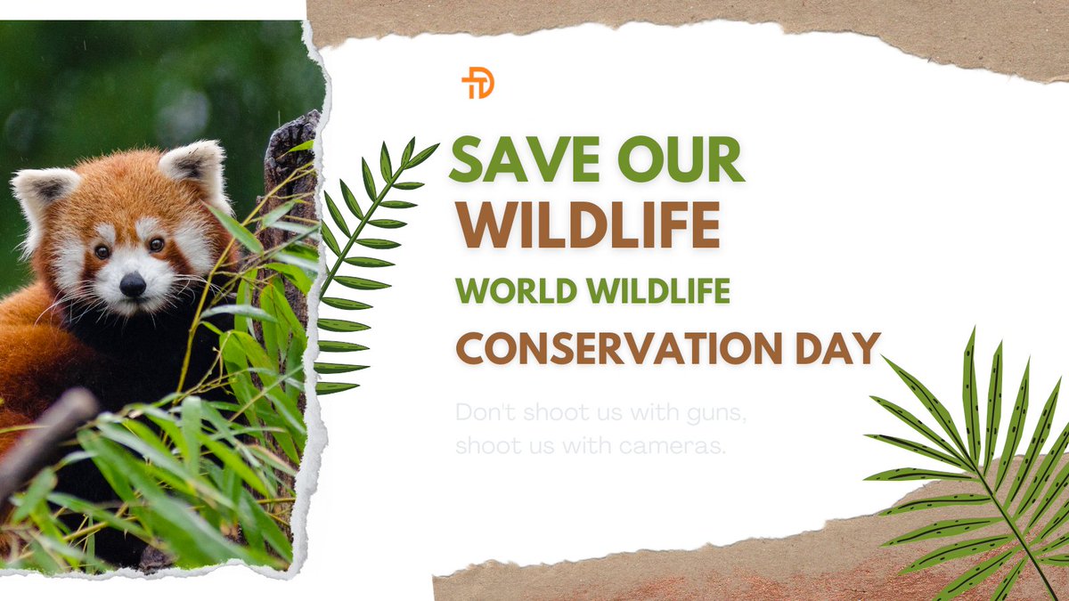 Today is #WildlifeConservationDay – a day to celebrate and protect our planet! It‘s an opportunity to recognize our actions' impact on the natural world around us. Let's spread the joy of nature and take the time to appreciate its beauty! #ConservationIsKey #ProtectOurPlanet