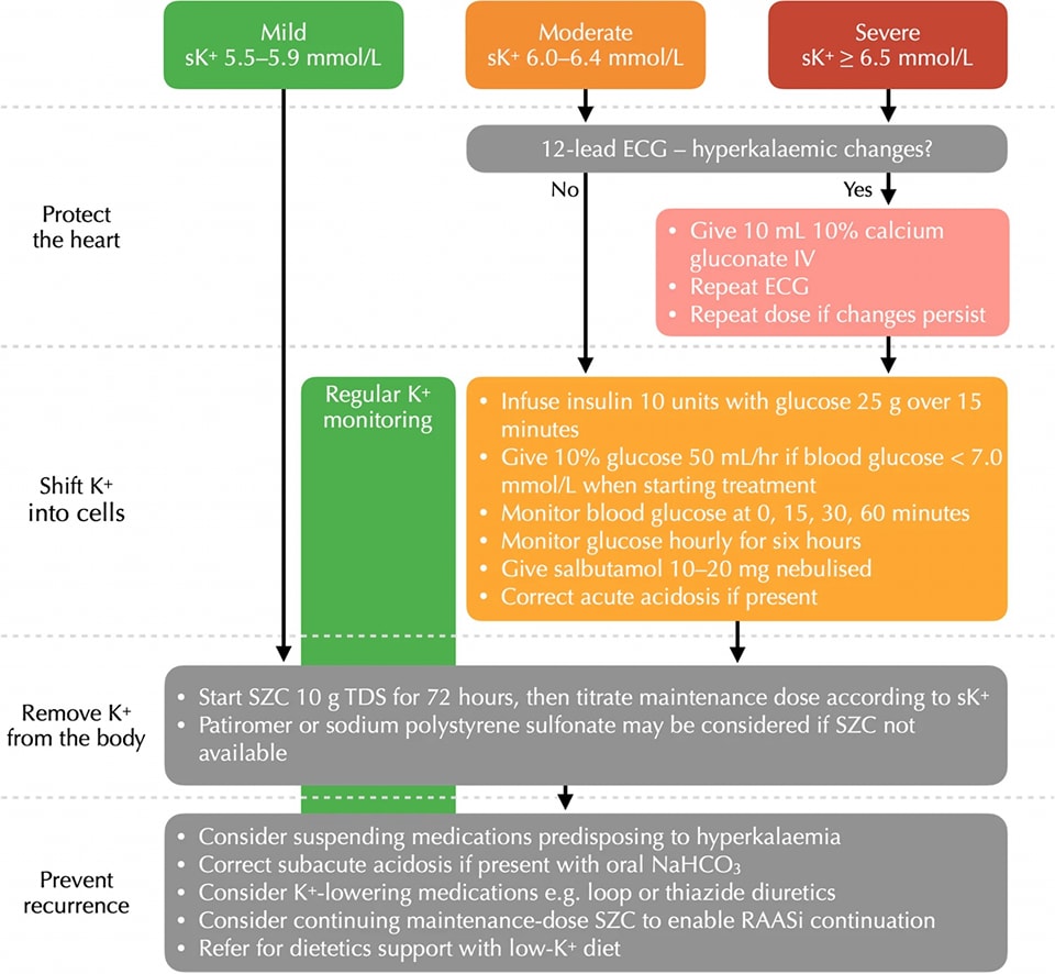 Hyperkalaemia in Heart Failure: Consequences for Outcome and Sequencing of Therapy

link.springer.com/article/10.100…
#CardioTwitter #cardioEd #cardiology