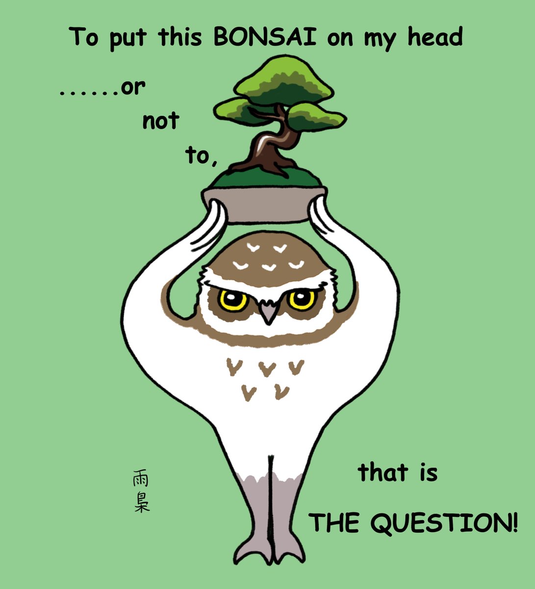The owl wondering if it should or should not put a bonsai on its head.
#bonsaiowl #bonsai #burrowingowl #illustration #ukyosaito
